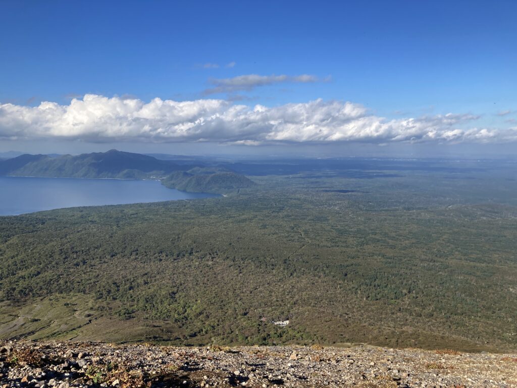 樽前山裾野の樹海