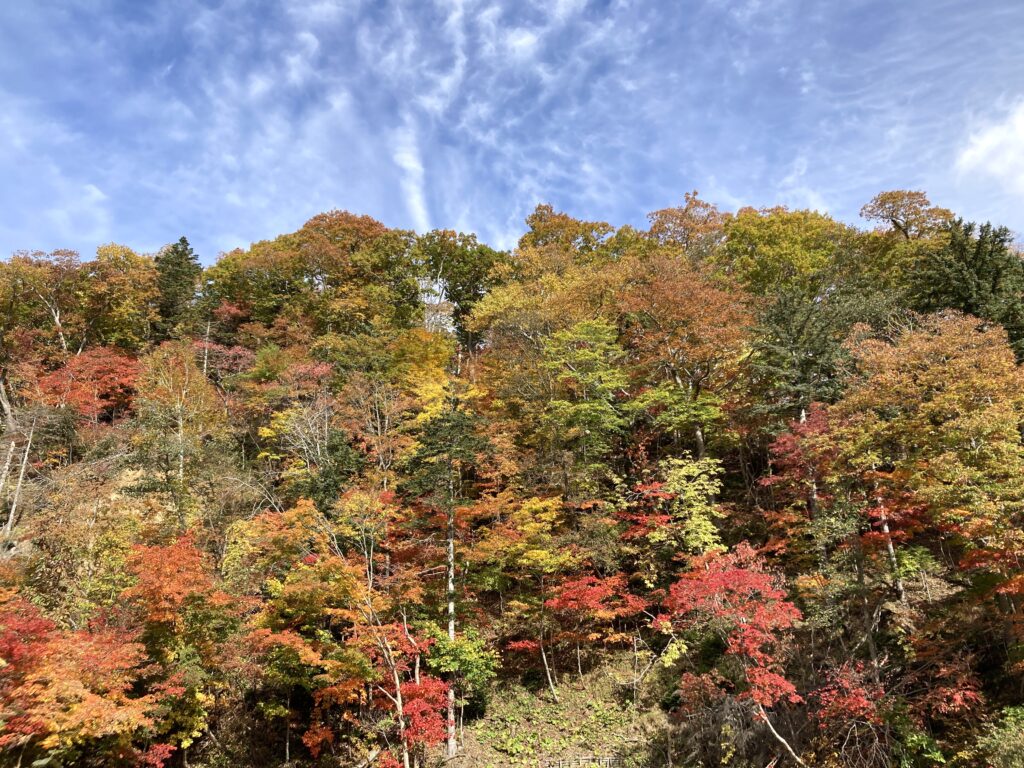 恵庭岳登山道入り口付近の紅葉