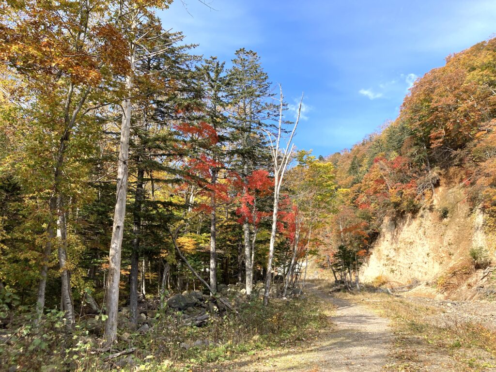 恵庭岳登山の入り口付近の紅葉