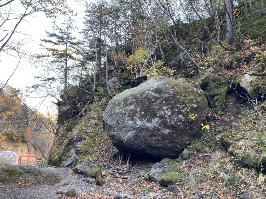 恵庭岳登山道入り口付近の善意の頬杖棒