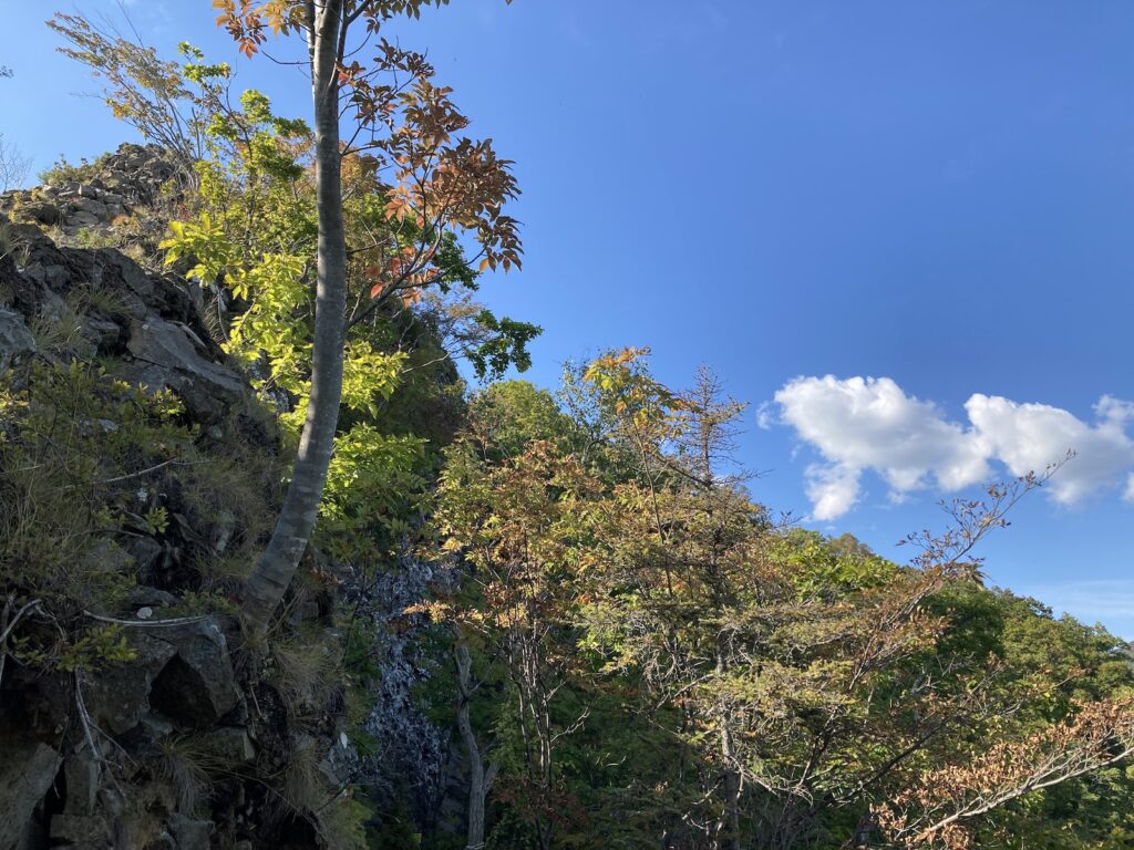 札幌八剣山の頂上付近登山道