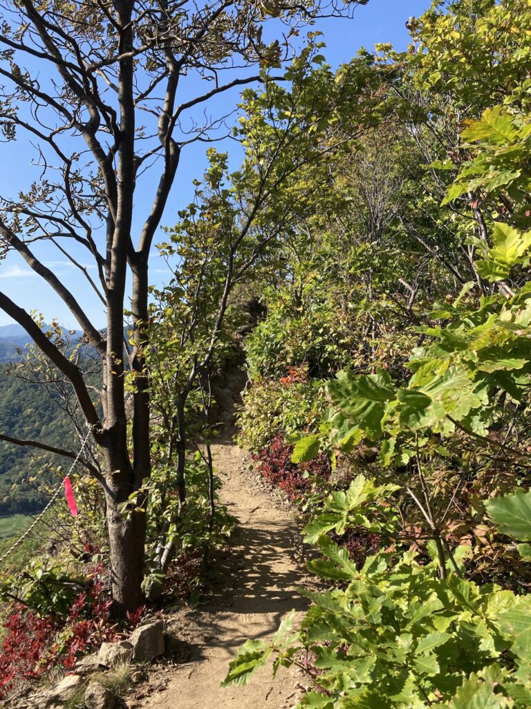 札幌八剣山の登山道の様子