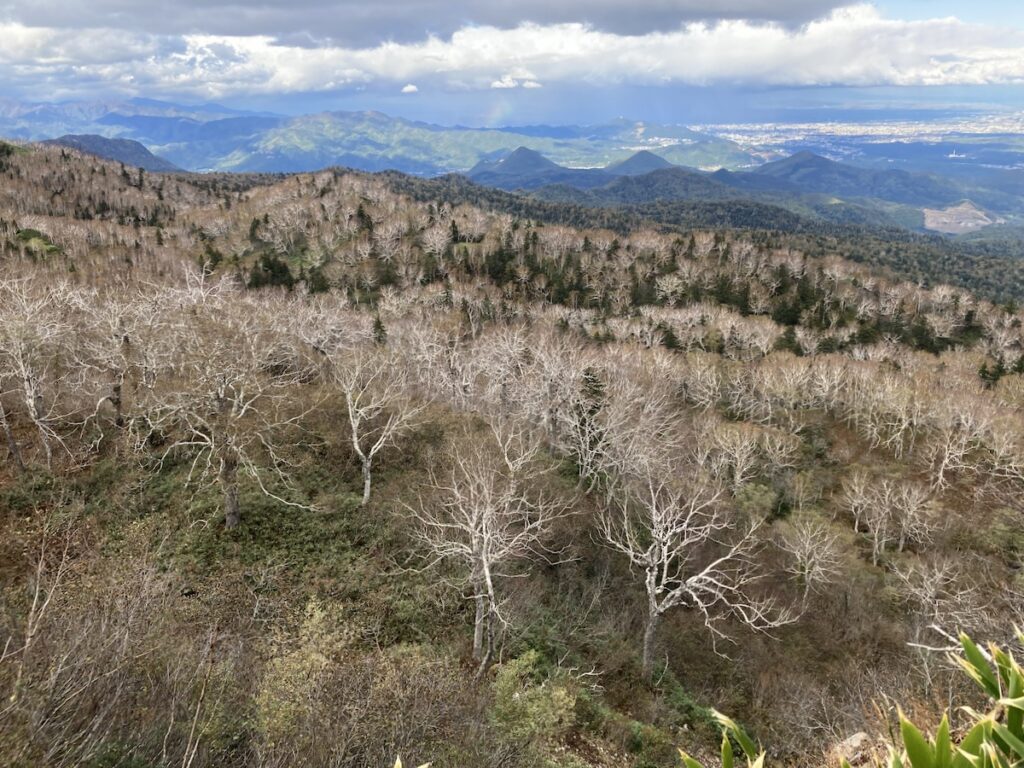 空沼岳頂上付近から望む札幌