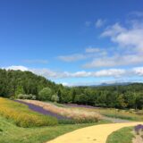 国営滝野すずらん丘陵公園