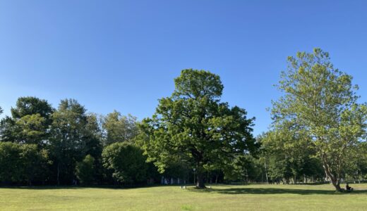 北海道立真駒内公園