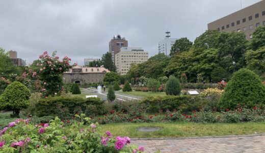 2022.06.17 札幌市大通西11丁目バラ園