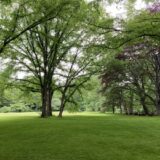 北海道大学付属植物園