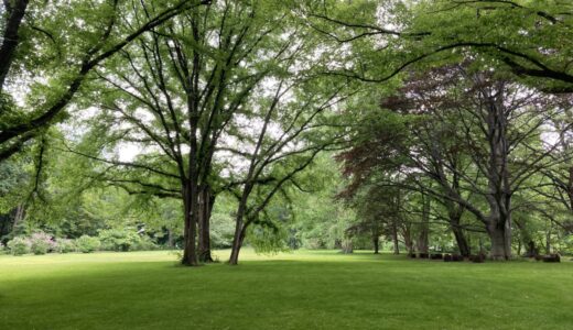 北海道大学付属植物園