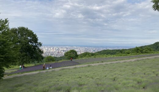 幌見峠ラベンダー園（札幌）