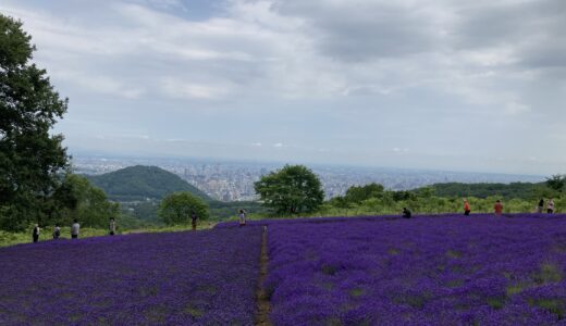 幌見峠ラベンダー園 2022/07/19