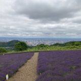 幌見峠ラベンダー園 2022/07/25