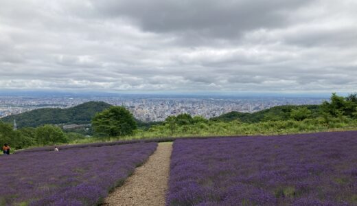 幌見峠ラベンダー園 2022/07/25