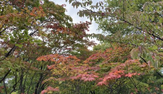 道立真駒内公園2022/09/24