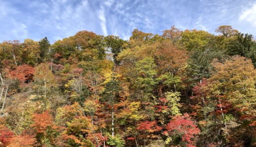 恵庭岳登山 紅葉レポート