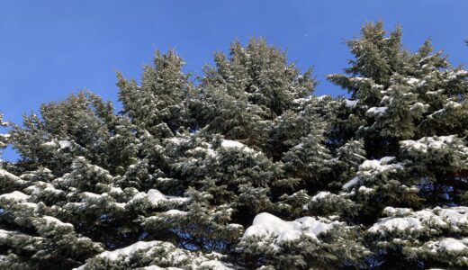 北海道真駒内公園から〜2023/02/21