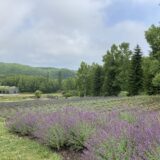 2023.07.06 国営滝野すずらん丘陵公園の様子